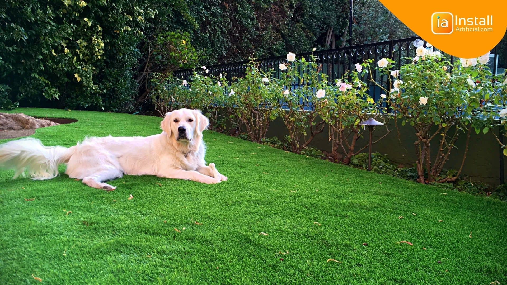 Best artificial grass for hotsell dog potty